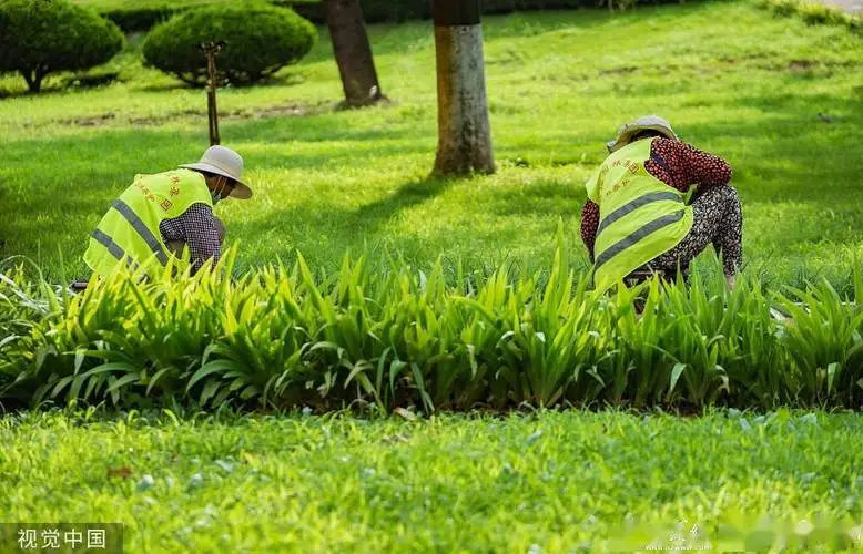 村外园林景观设计
