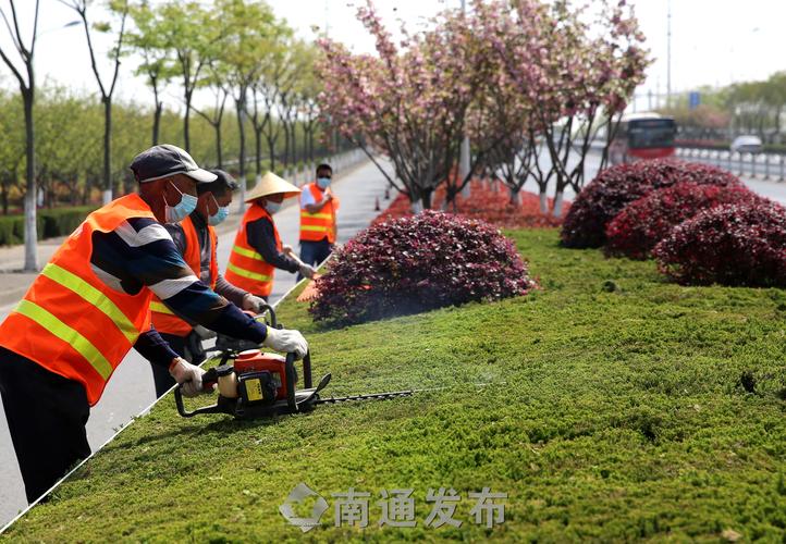 河北欣悦绿化工程
