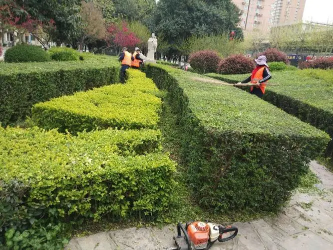 现代禅意园林景观设计