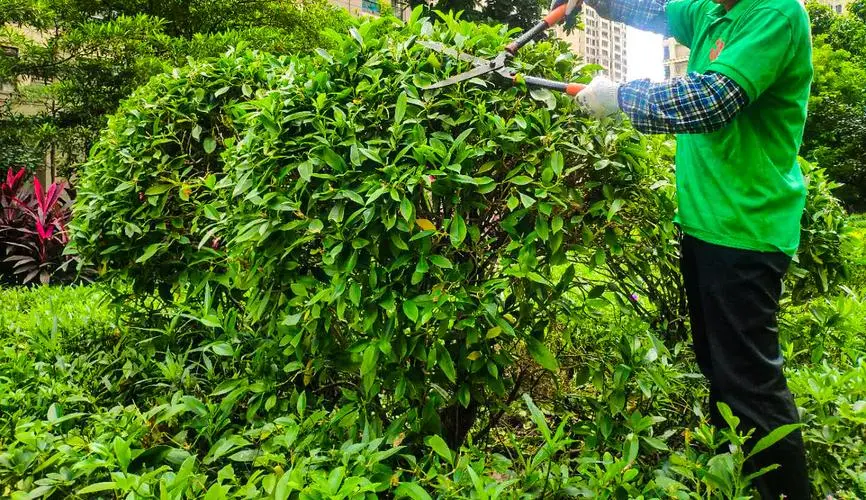 经典广场园林景观设计方案解析