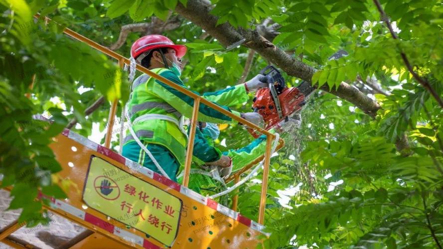 【比贡献晒实绩】抢抓春季黄金期 精绣城市绿画卷——市园林管理处高效推进春季绿化栽植补植工作